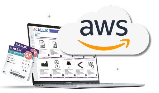 Kallik AWS hosting